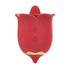 Rose Toy Nipple Clit Stimulator ootyemo-d914.myshopify.com