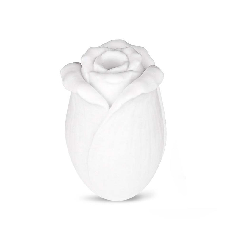 Rose Airplane Egg Male Masturbator ootyemo-d914.myshopify.com