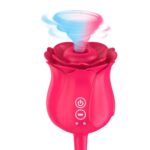 3D Rose Vibrator with Dual Stimulation & 12 Modes